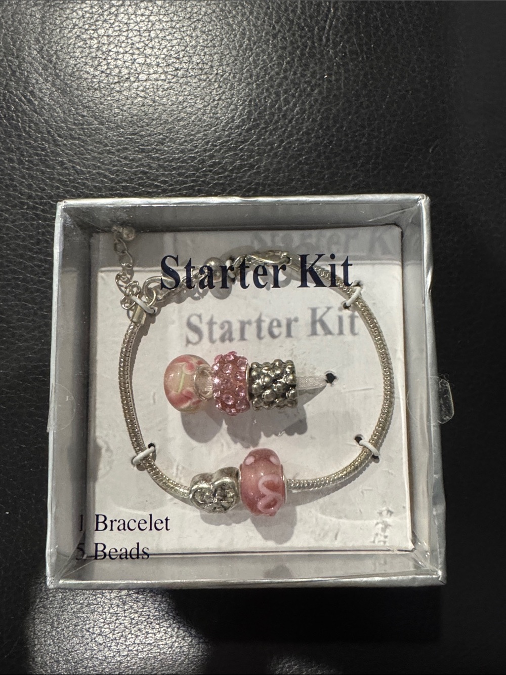 NWT Charm Bracelet Starter Kit